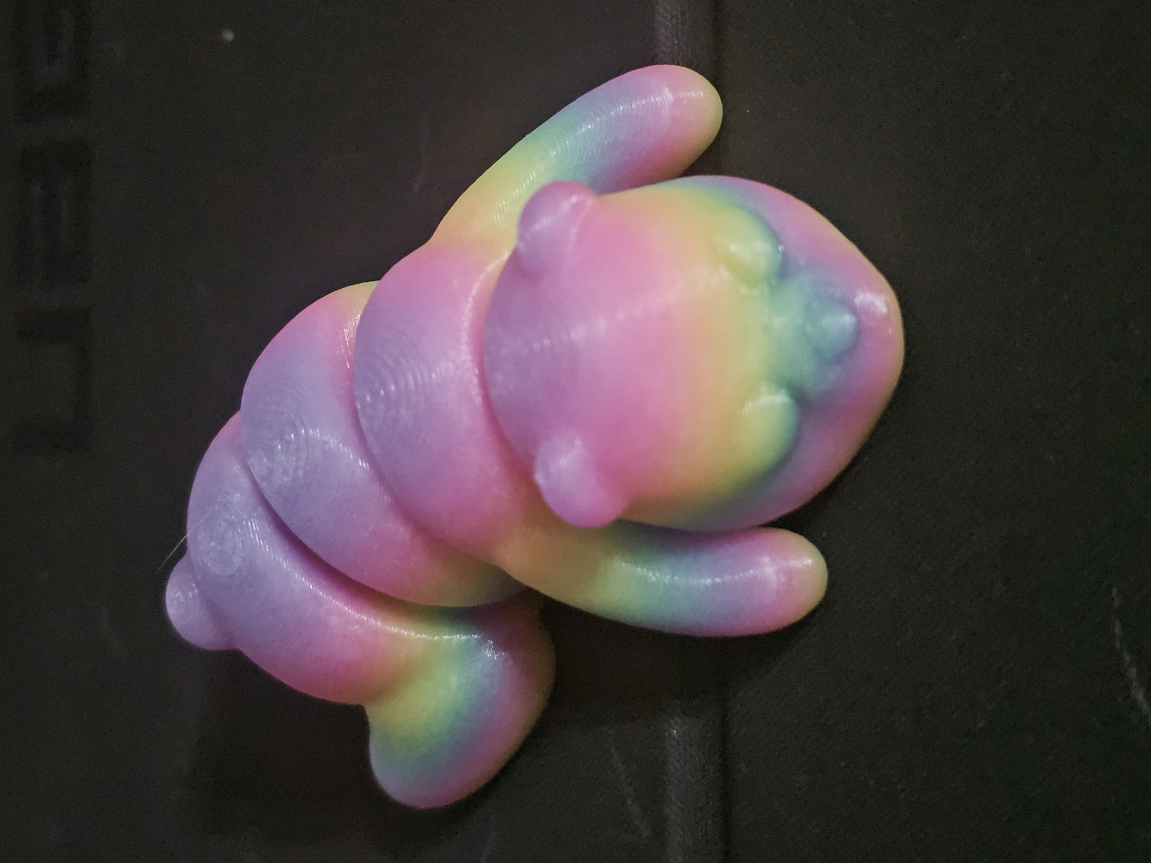 Rainbow bear