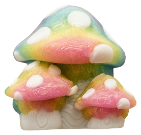 Mushrooms Glow Rainbow