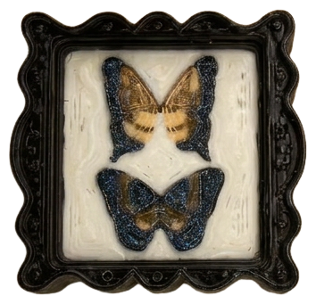 Frame Butterfly Black Orange