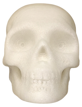 Skull V2