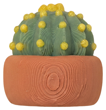 Plant Barrel Cactus