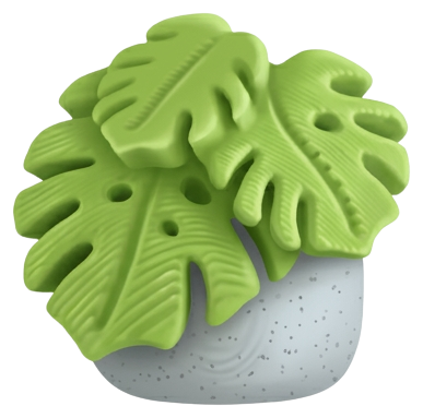 Monstera Plant White